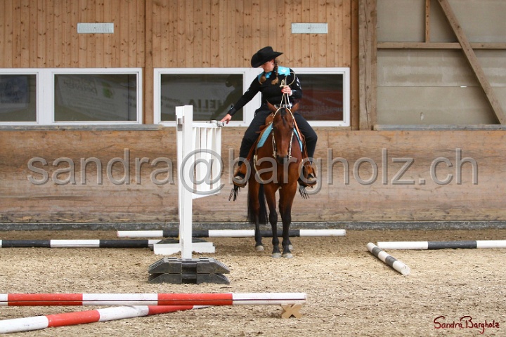 28-ApHC OT_313.jpg